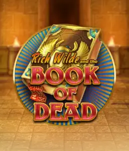 Погрузитесь в захватывающий мир слота Book of Dead от Play'n GO, представляющий яркую графику приключений Рича Уайлда по древнеегипетским гробницам и артефактам. Откройте затерянные богатства с захватывающими механиками, такими как бесплатные вращения, расширяющиеся символы и возможность игры на риск. Идеально для исследователей, желающих захватывающих открытий.